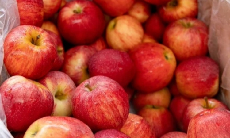 National Farmers Market Week